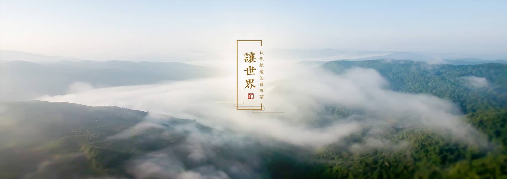 今大福普洱茶行情網